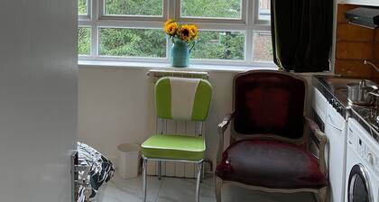 Charming Studio with Modern Amenities in Central London