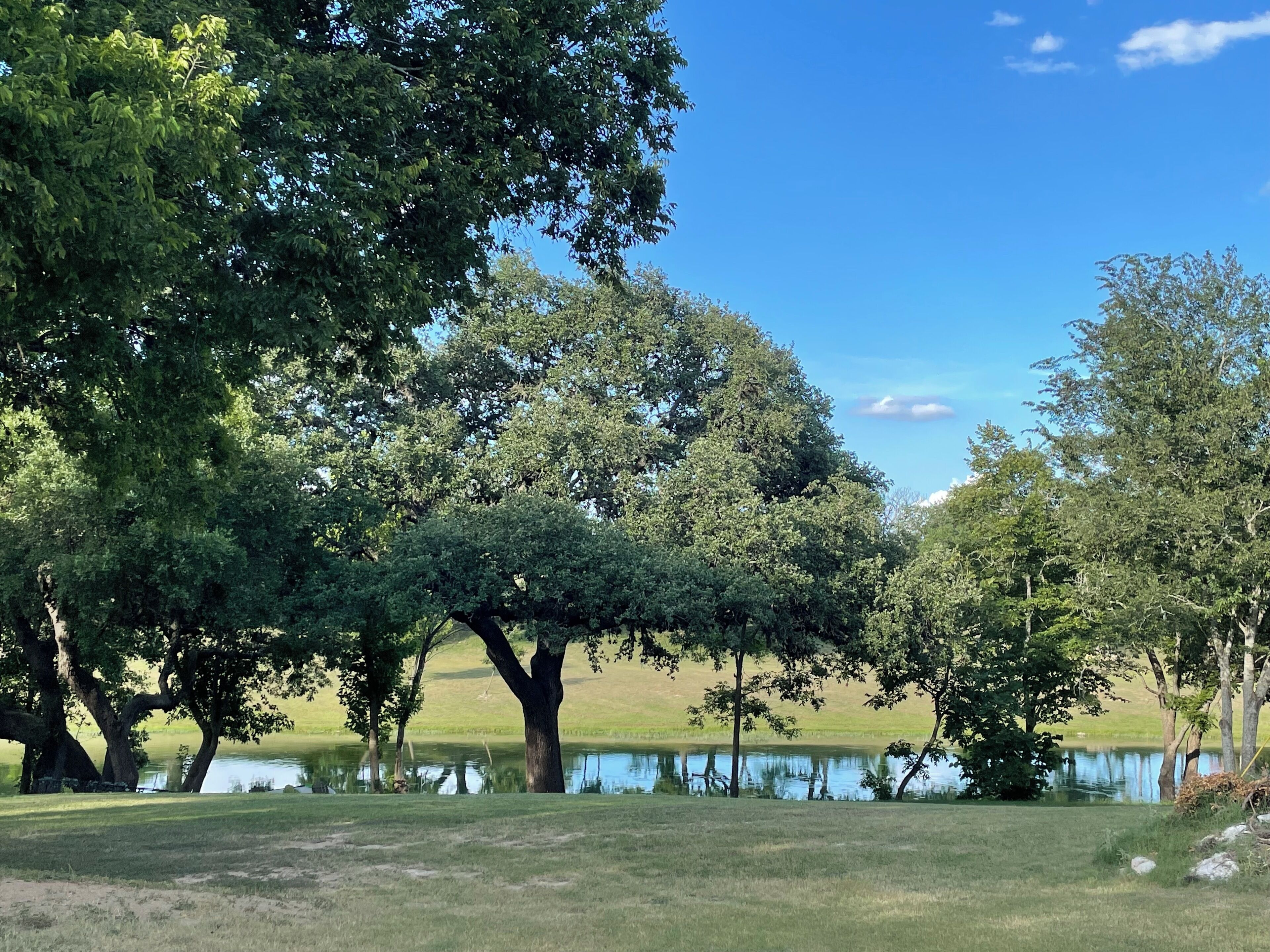 Un cadre paisible au bord du lac, avec de grands arbres et une pelouse.