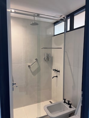 Shower, hair dryer, bidet, towels