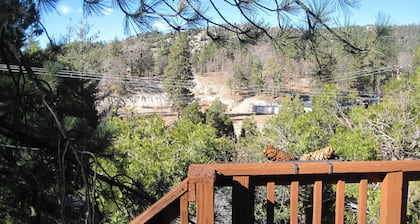 Stay at this centrally located mountain home!