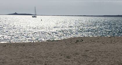 Torregrande Or. free Aug. 2-9