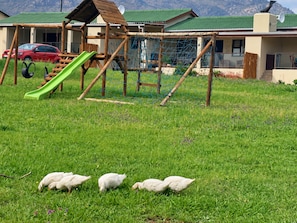 Exterior - Wagyu Mountain Lodges (Paarl)