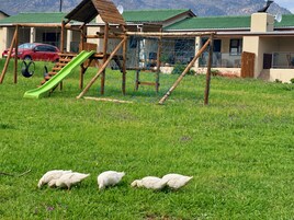 Un parque infantil con tobogán y columpios, un coche rojo estacionado cerca, y un edificio con techo verde al fondo.