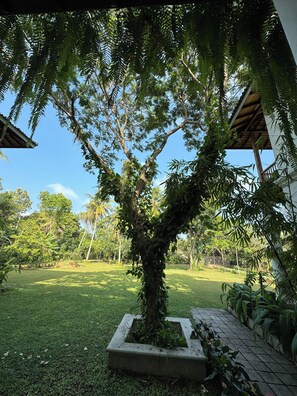 Property grounds - Villa with 7 bedrooms and WiFi, AC in enchanting Negombo felicianf@gmail.com (Daluwakituwa)