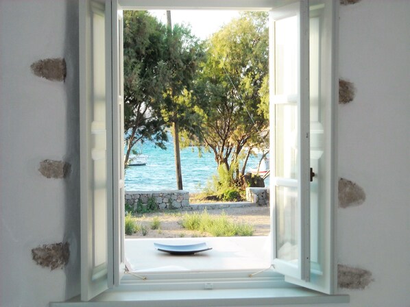 A window with a view of a coastal area, including trees and a body of water.