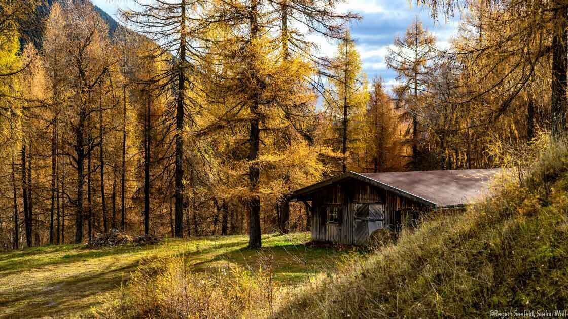 Una baita circondata da un bosco con foglie autunnali.