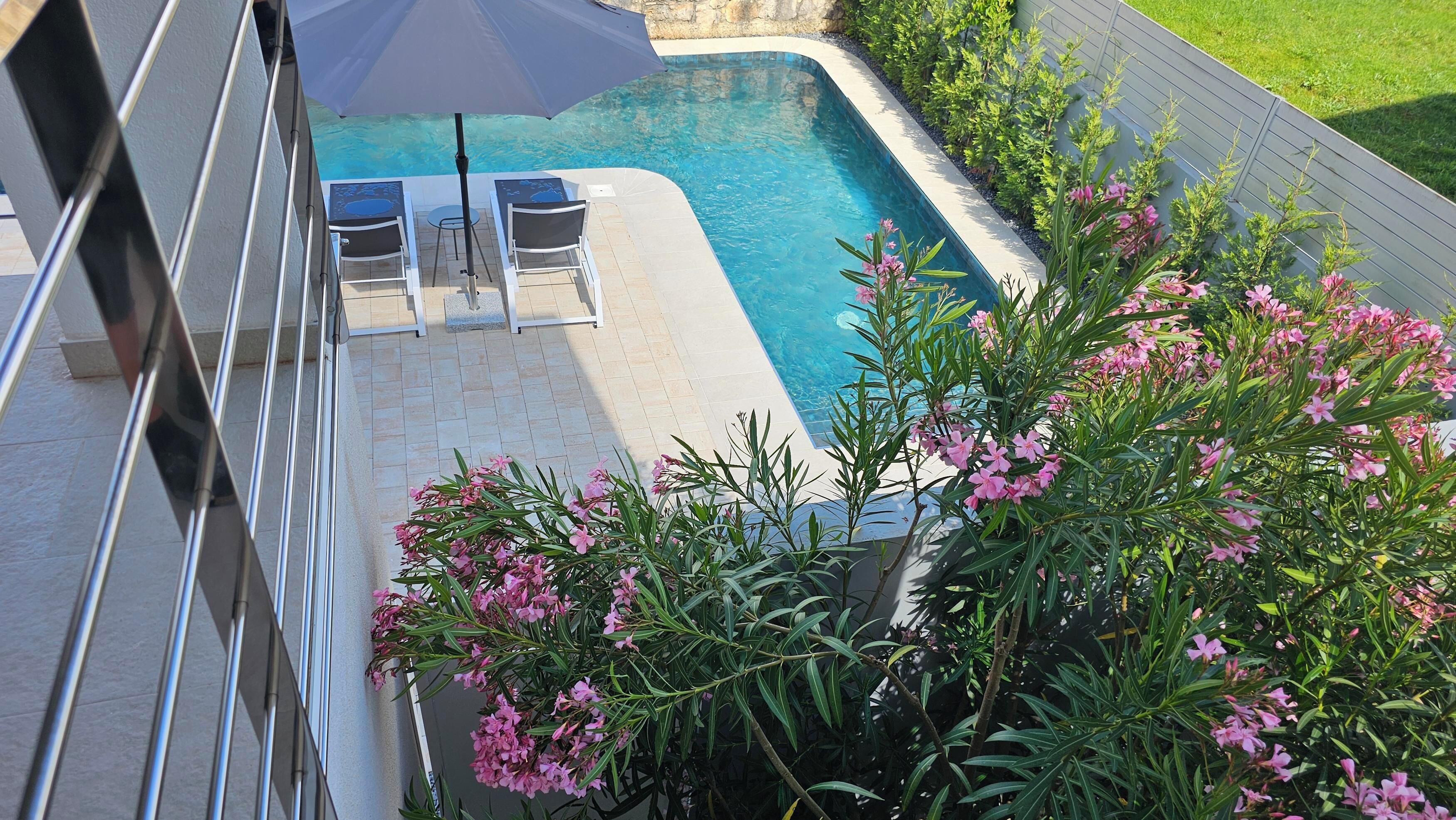 A swimming pool with two lounge chairs and an umbrella, surrounded by greenery and flowers.