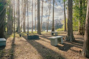 Enceinte de l’hébergement
