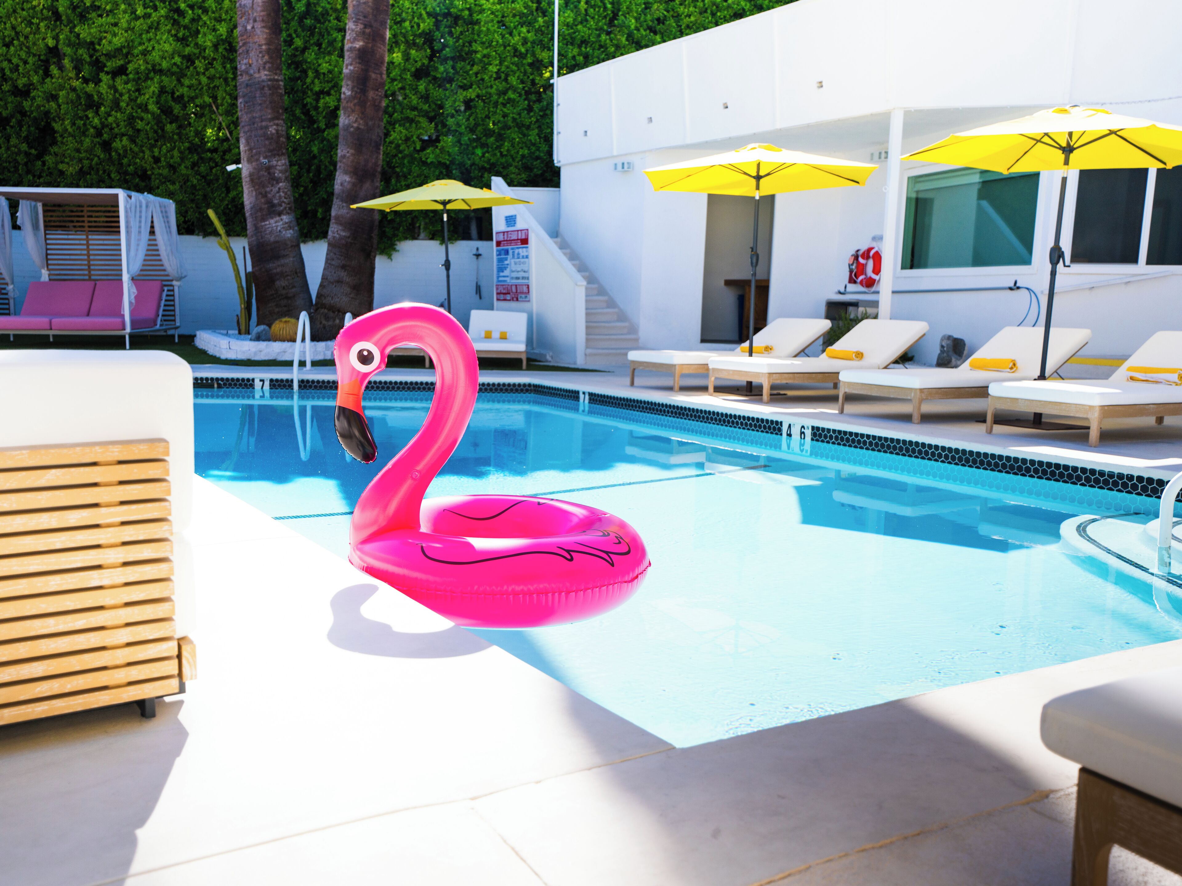 Een zwembad met ligbedden en parasols, een roze flamingo drijvend in het water, en een wit gebouw met een trap.