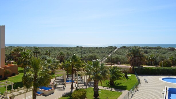 Un complexe hôtelier doté d’une piscine, de palmiers et offrant une vue sur la mer.