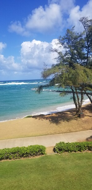 On the beach, sun loungers, beach towels - A Welcoming Beachfront 2BR/2BA, Vacation Home, W/D, AC, STEPS TO BEACH! (Kapaʻa)