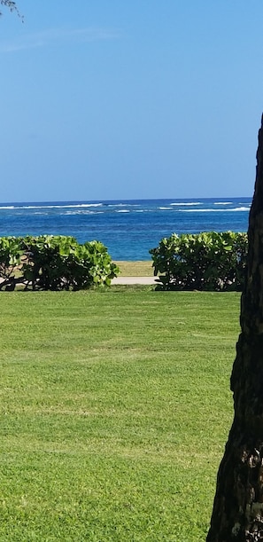 On the beach, sun loungers, beach towels - A Welcoming Beachfront 2BR/2BA, Vacation Home, W/D, AC, STEPS TO BEACH! (Kapaʻa)