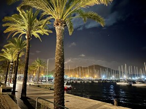 Jachthaven