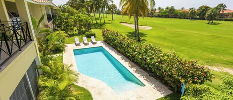 A swimming pool with lounge chairs, surrounded by lush greenery and palm trees.