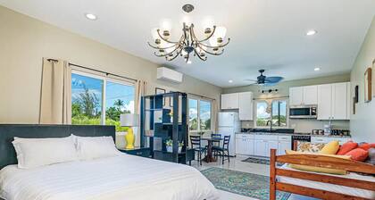 Hilo Town Center Studio