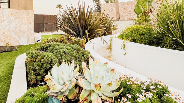 Property grounds - Quinta San Carlos  (Ensenada)