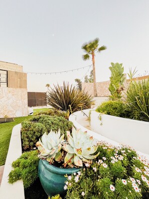 Property grounds - Quinta San Carlos  (Ensenada)