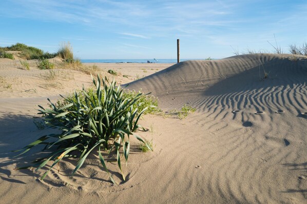 Beach - Apartamento Isla Canela (Ayamonte)