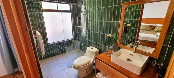 Baño con inodoro, lavamanos y espejo.