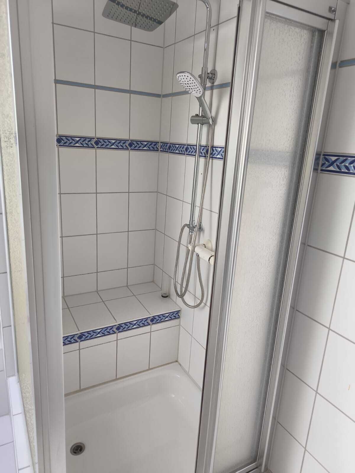 Eine Dusche mit Glastür, weißen Fliesen mit blauen Mustern und einem Duschkopf mit Handbrause.