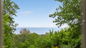 Vista de una zona costera con abundante vegetación y una vista despejada del mar.