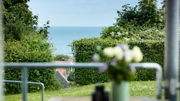 A view of the sea through a metal railing with a flower vase in the foreground.