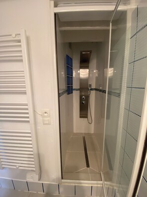 Regadera, secadora de cabello, toallas, papel de baño 