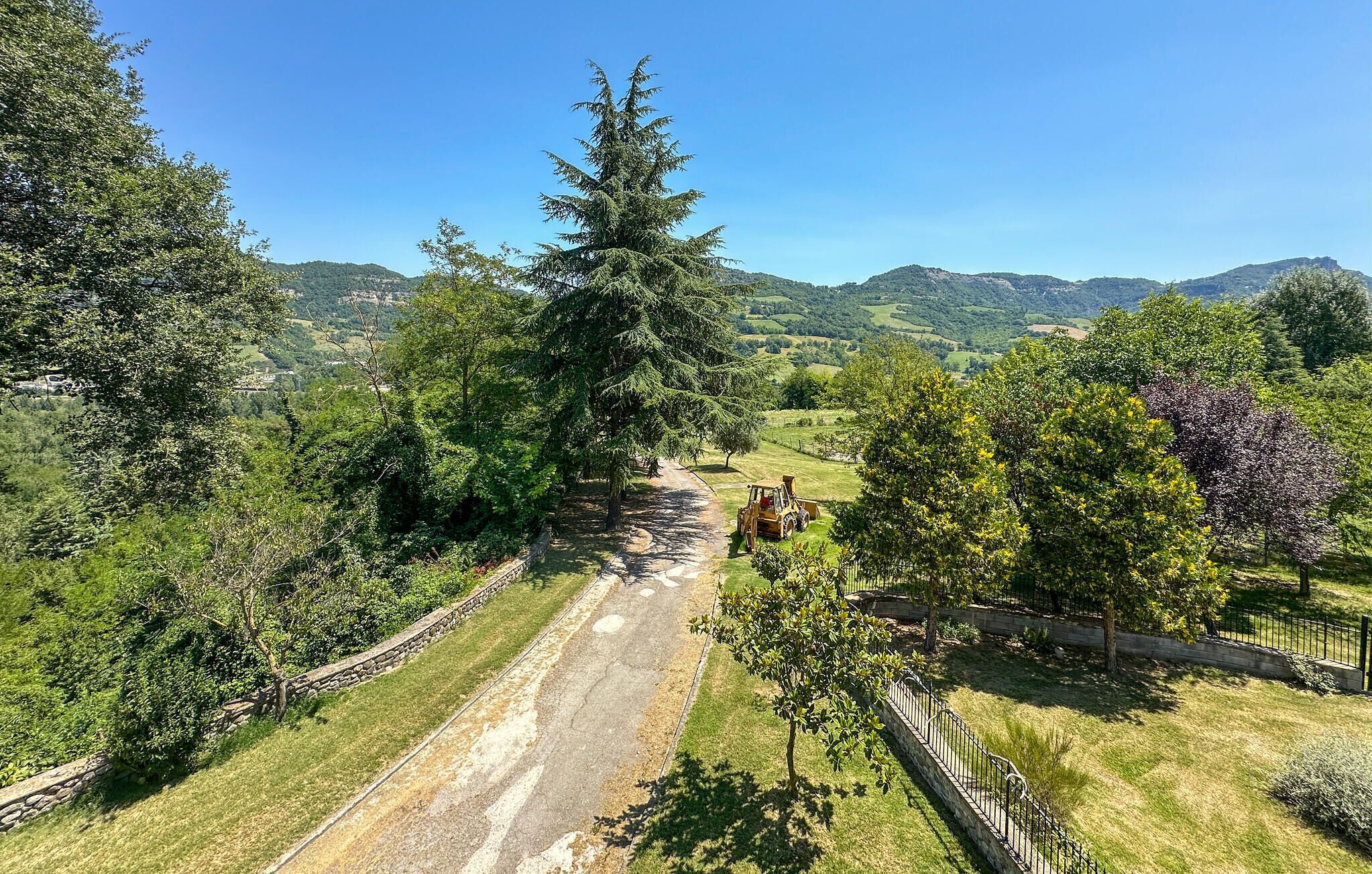 Eine ländliche Straße, an einer Seite eine Steinmauer, an der anderen eine große Baum.