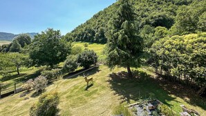 Un paisaje exuberante y verde con diversas especies de árboles y un ciervo al frente.
