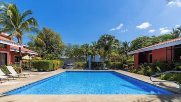 A swimming pool with lounge chairs and palm trees.