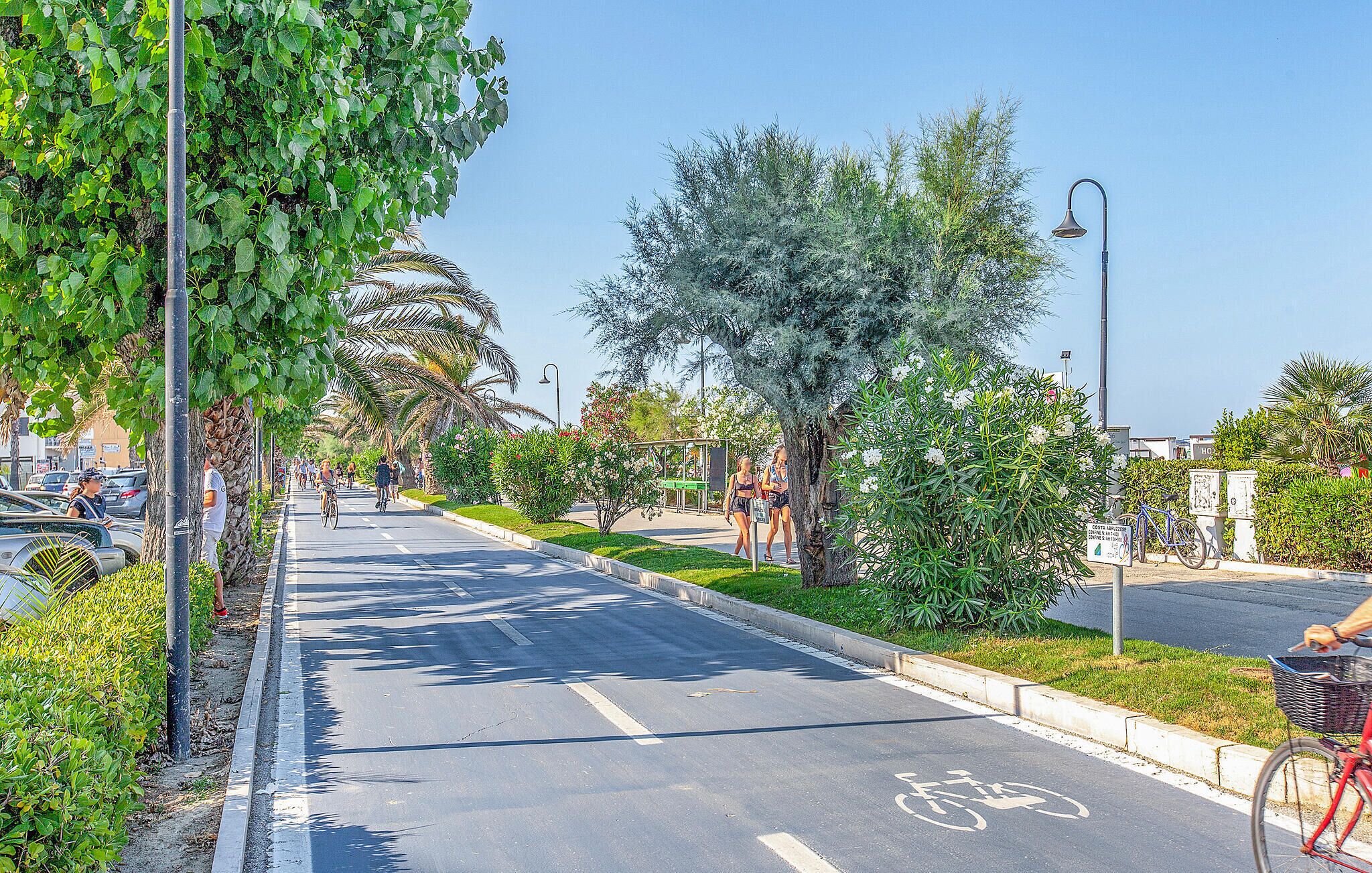 Une rue bordée d’arbres, avec une piste cyclable, des vélos garés et un chemin piétonnier.