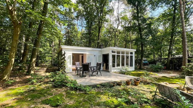 Una cabaña pequeña y blanca con un patio, rodeada de un bosque denso.
