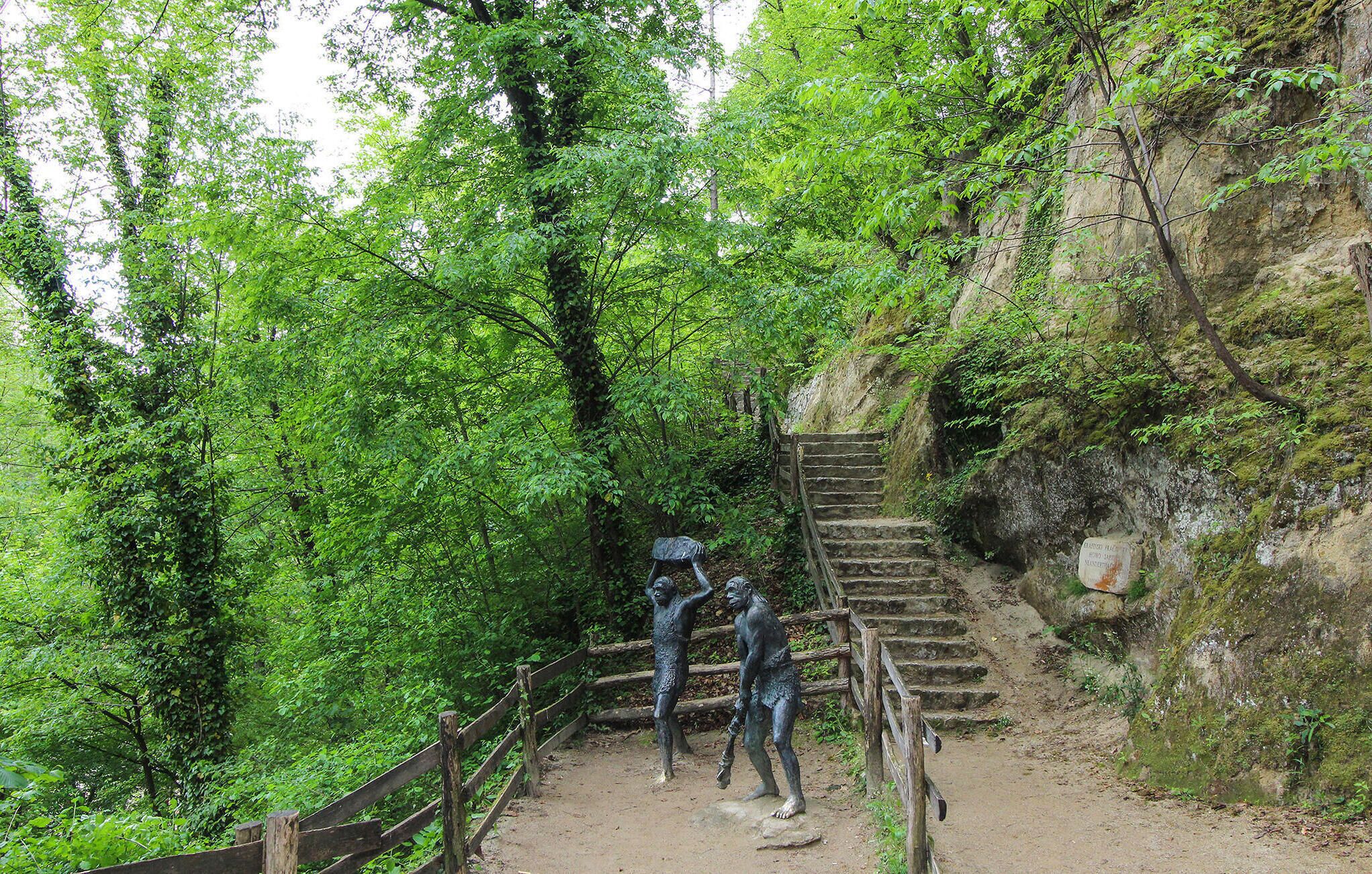 Une zone boisée avec un sentier de terre qui mène à un escalier.