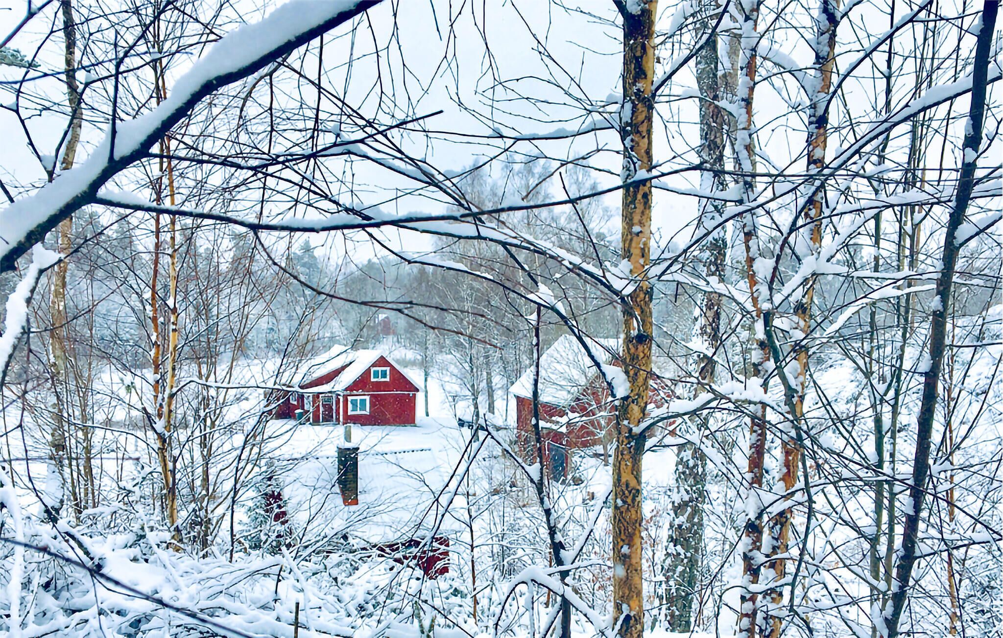 Une cabane rouge entourée d’arbres couverts de neige.