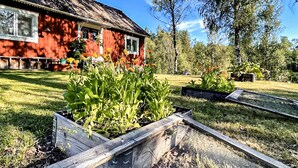 A red wooden house with a thatched roof, surrounded by a garden with raised beds and a variety of plants. - 2 bedroom gorgeous home in Hallaryd (Hallaryd)