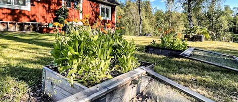 Boendeområde