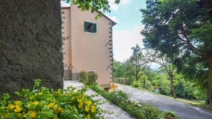 A building with a stone facade, a small window with green shutters, and a paved pathway leading to a door. - 3 bedroom pet friendly home in Barga (Barga)