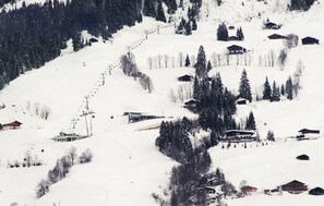 Aerial view - Appartement mit Panoramablick (Hopfgarten)