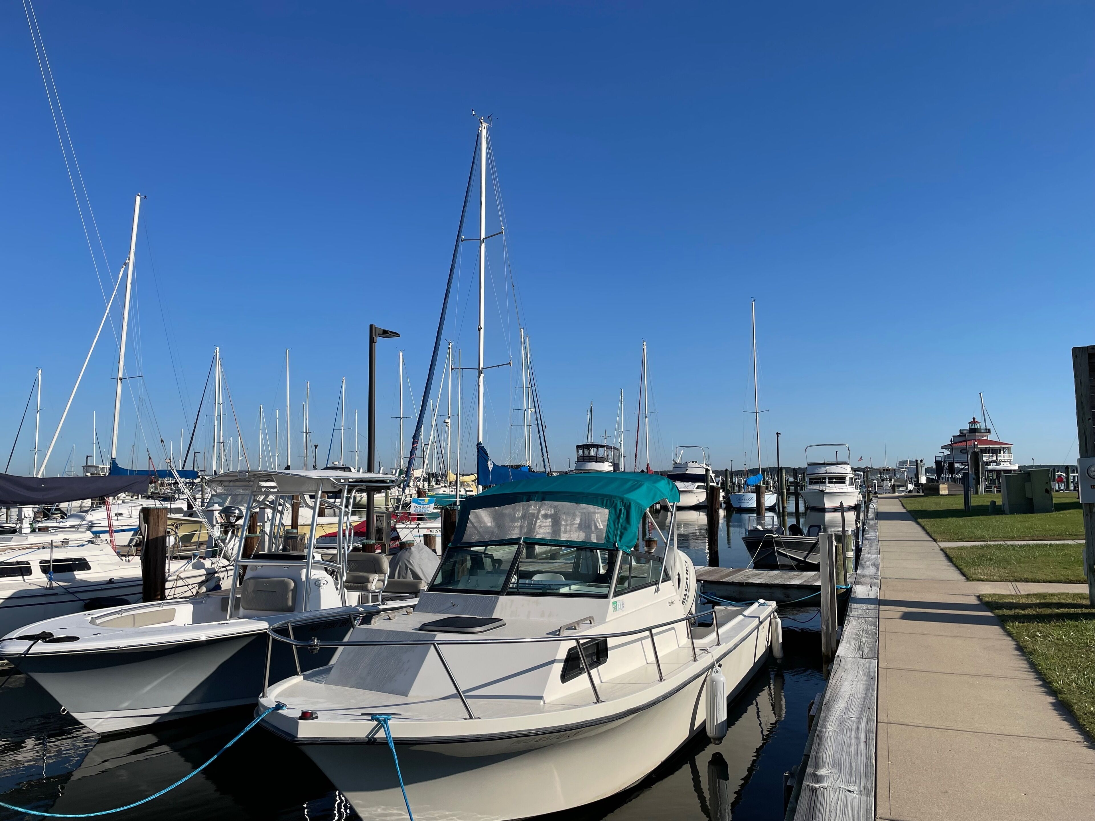 A marina with multiple boats docked along a concrete walkway.