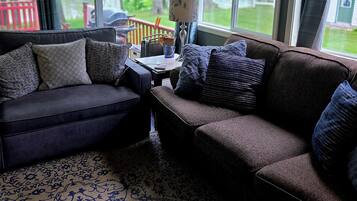 TV, DVD player, books, video library