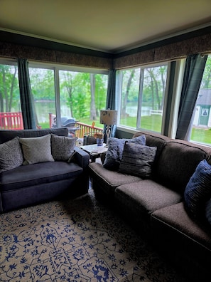 TV, DVD player, books, video library