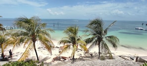 A beach with palm trees, clear turquoise water, and a wooden pier.