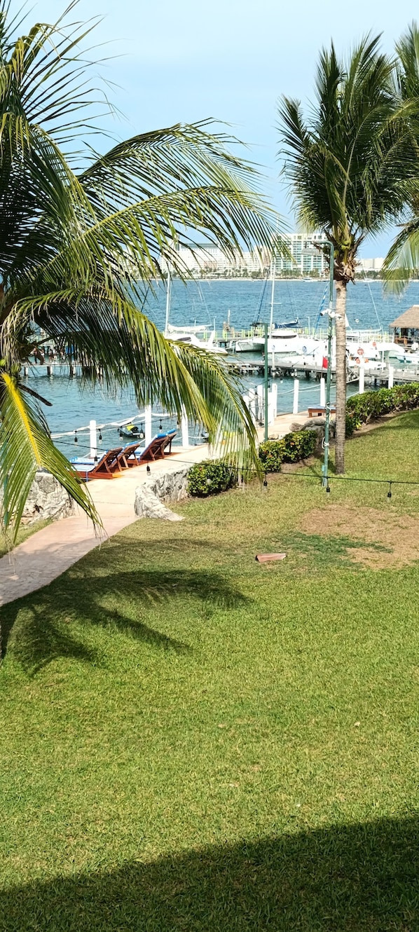 A grassy area with palm trees, a pathway, and a view of boats and buildings across the water.
