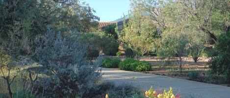 A paved pathway through a landscaped garden with various shrubs and trees.