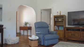 Una televisión, un reproductor de DVD, libros, una pantalla de ordenador