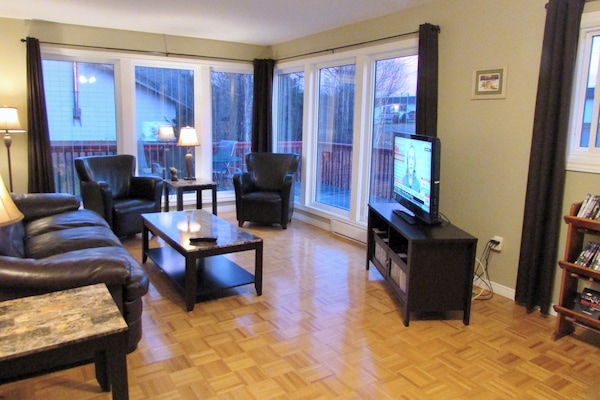 3-Bedroom Chalet with Kitchen (Non-Smoking, No Pets) | Living area