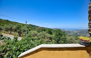 Property grounds - Pet friendly home in Laureana Cilento (Laureana Cilento)