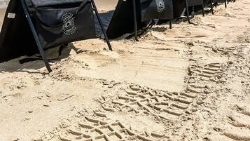 Fileira de cadeiras de praia pretas com logotipos numa praia arenosa.