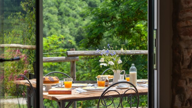 A breakfast table with a book, a glass of orange juice, a bottle of milk, and a pitcher of flowers. - Olimpia by Interhome (Borgo San Lorenzo)