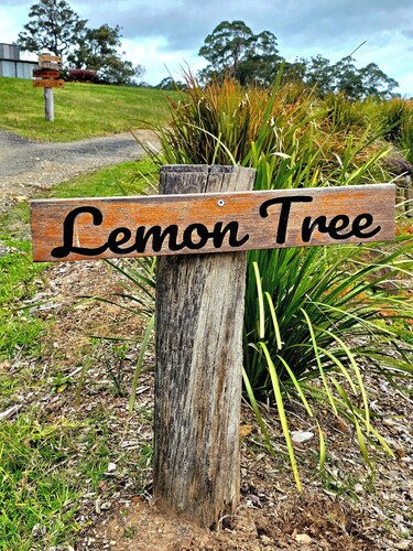 Lemon Tree Cottage - The epitome of relaxation: your own cabin in the woods.